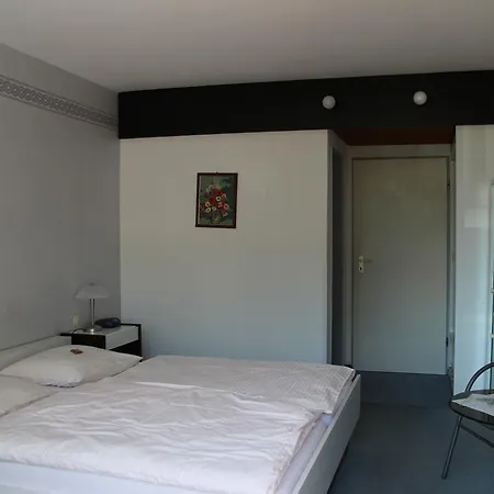 Parkhotel Framke Gasthof 3*